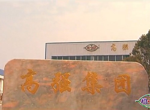 高強集團宣傳片
